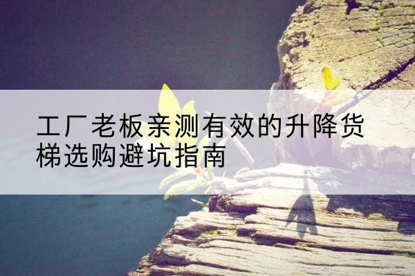 林甸升降货梯怎么选-工厂老板亲测有效的升降货梯选购避坑指南