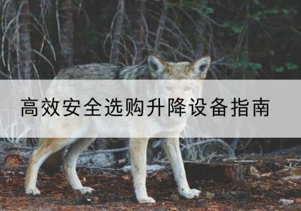 林甸升降货梯厂家推荐-*安全选购升降设备指南