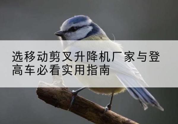 林甸电动升降机厂家-选移动剪叉升降机厂家与登高车必看实用指南