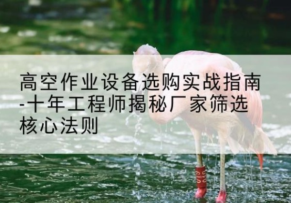 林甸剪叉式升降机厂家-高空作业设备选购实战指南-十年工程师揭秘厂家筛选核心法则