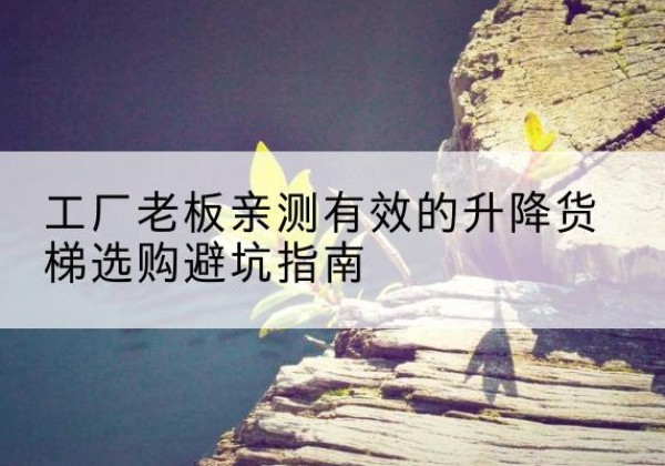 林甸升降货梯怎么选-工厂老板亲测有效的升降货梯选购避坑指南